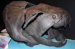 Illustration for article titled Your Jaw Is Basically a Fish Gill (Plus Millions of Years of Evolution)